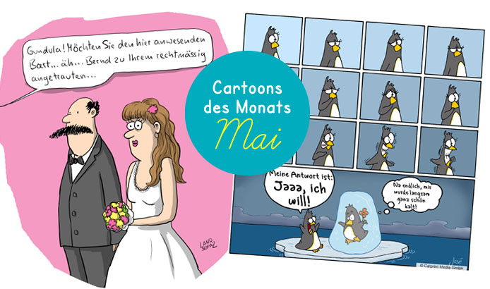 Cartoons des Monats