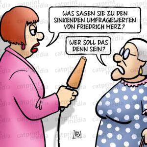 Merz-Wert