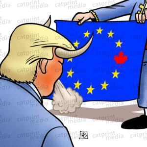 Trumps_blaues_Tuch