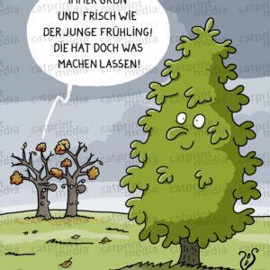 immergruen